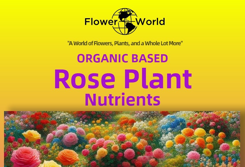Fertilizer & Amendments
