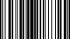 Gourds Barcode paint  small