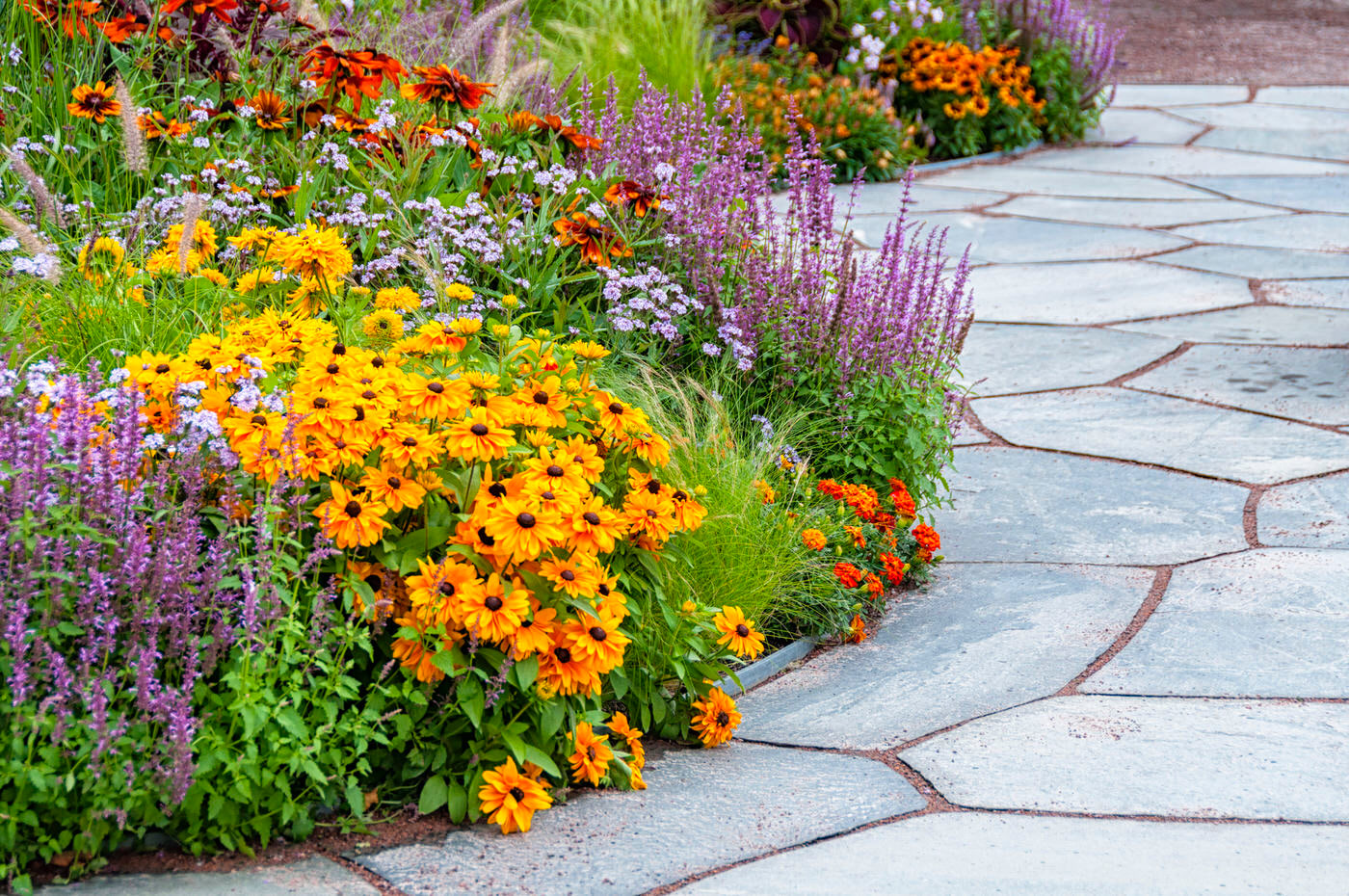 Perennials