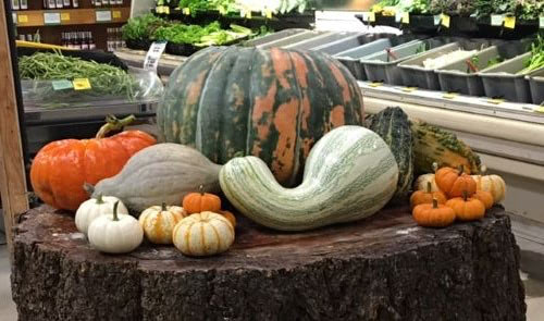 Pumpkins, Gourds, and More