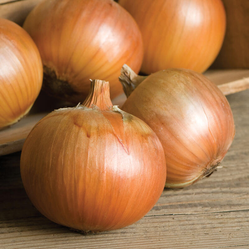 Onions and Shallots