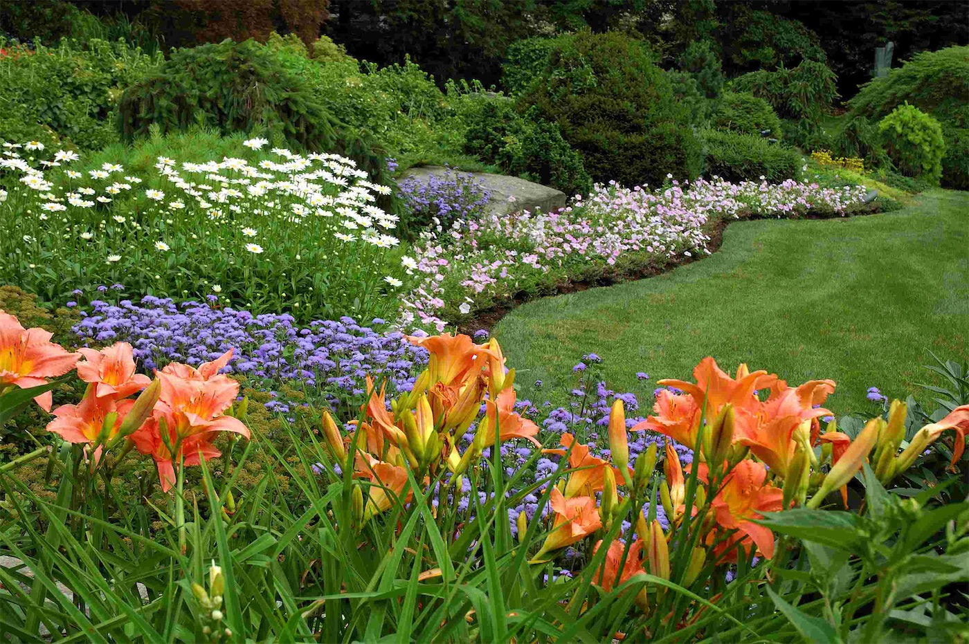perennial landscap resize 2024