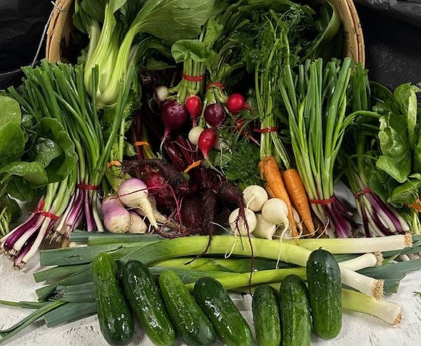 produce basket 2024  crop