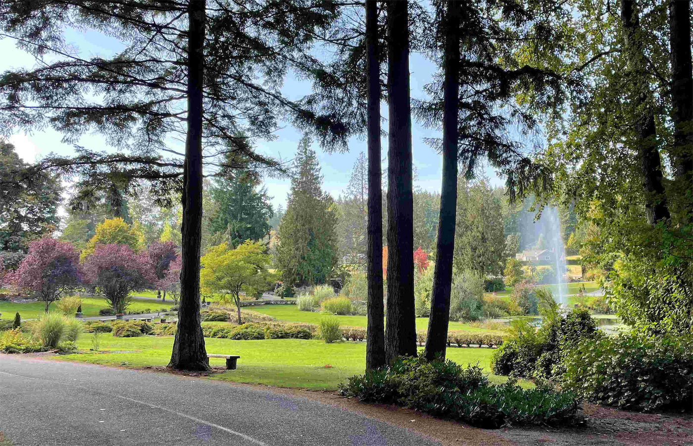 road park fountain fall 2021  crop resize