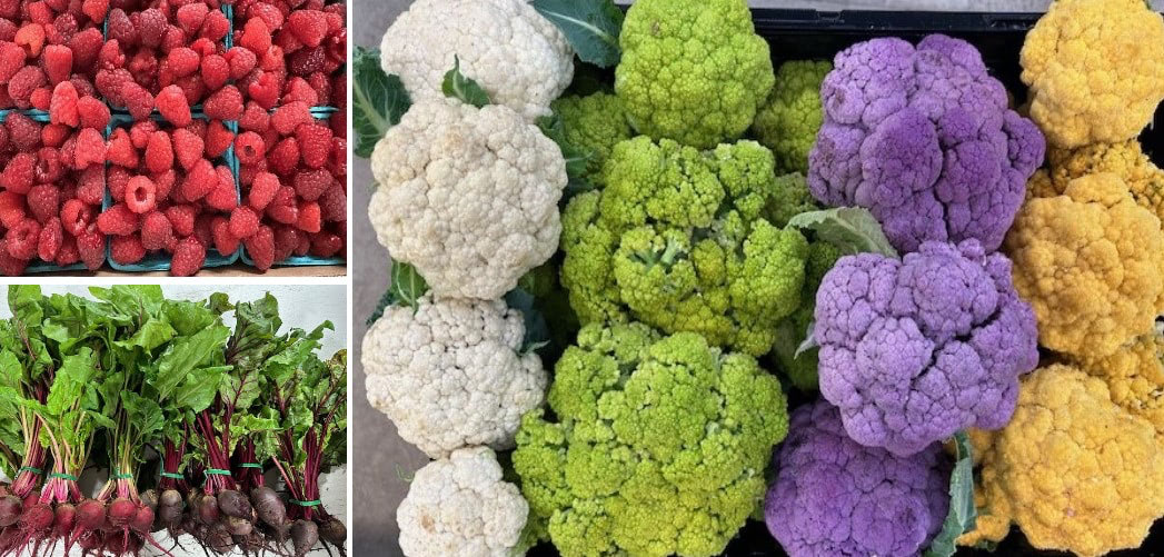 veggie 3 way 7