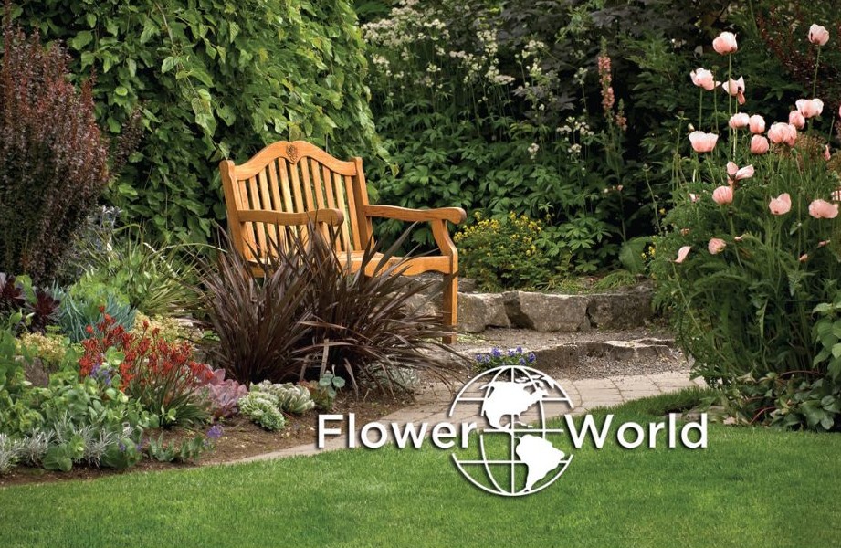 Gift Card - Garden Bench