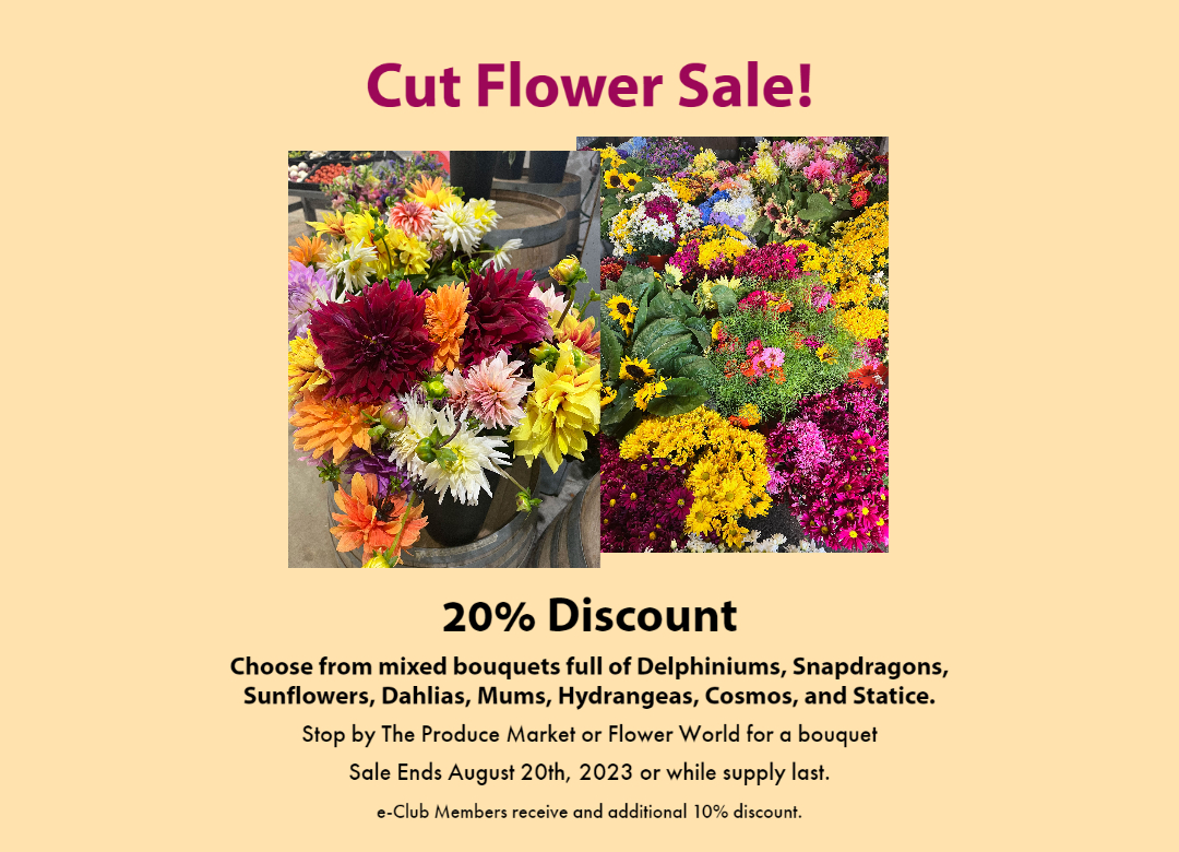 Cut Flower Sale 1