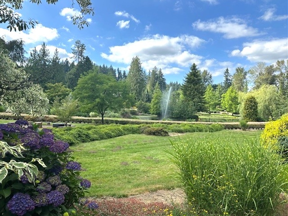 summer-park-2025