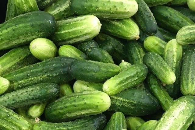 cukes  8   Copy