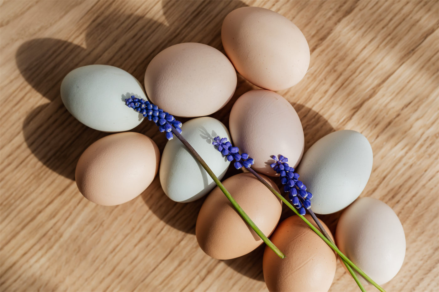 Fresh Eggs